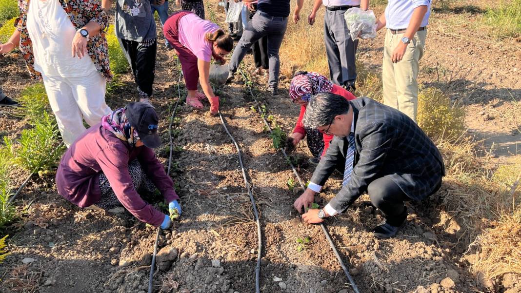 Toprağının verimi ve tarım ürünleriyle ünlü Çanakkale'ye bu kez bitki ekildi 3